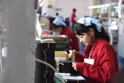 禅城区优质劳务派遣服务指南