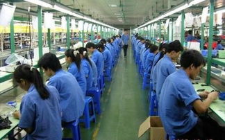 佛山市劳务市场解析 劳务派遣、劳务外包与职业中介活动详解